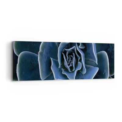 Schilderen op canvas - Woestijn bloem - 90x30 cm