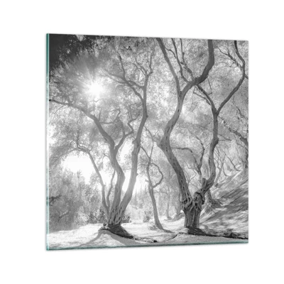 Schilderen op glas - In de olijfboomgaard - 60x60 cm