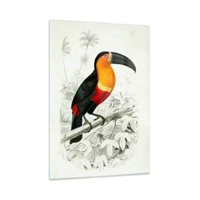 Schilderen op glas - Kleuren van vogels - 50x70 cm