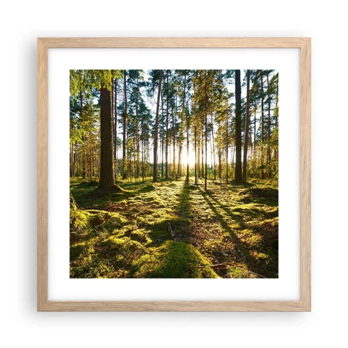 Een poster in een licht eiken lijst - … Achter de zeven bossen - 40x40 cm