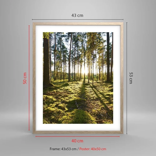 Een poster in een licht eiken lijst - … Achter de zeven bossen - 40x50 cm