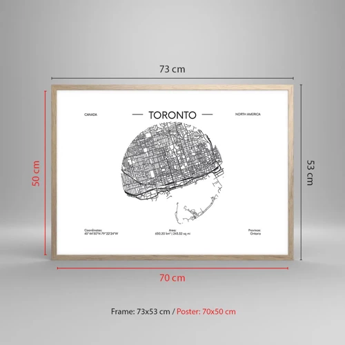 Een poster in een licht eiken lijst - Anatomie van Toronto - 70x50 cm