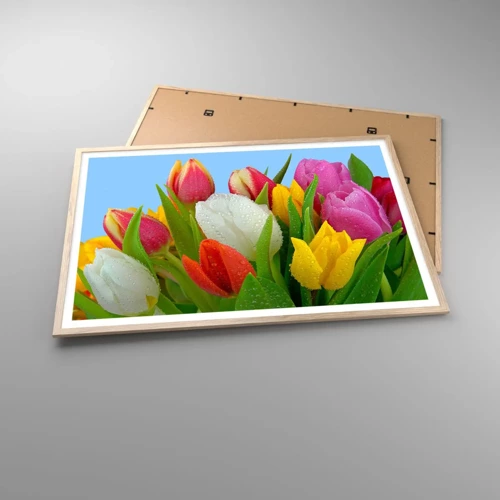 Een poster in een licht eiken lijst - Een bloemenregenboog in dauwdruppels - 100x70 cm