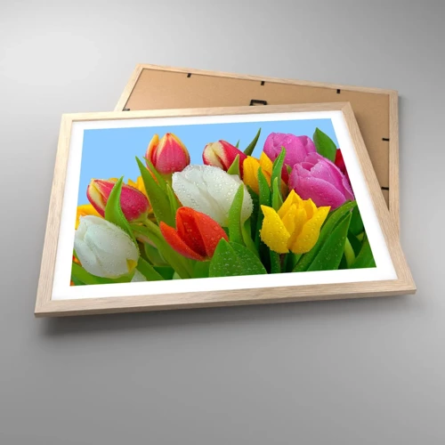 Een poster in een licht eiken lijst - Een bloemenregenboog in dauwdruppels - 50x40 cm