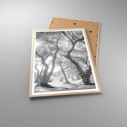Een poster in een licht eiken lijst - In de olijfboomgaard - 61x91 cm