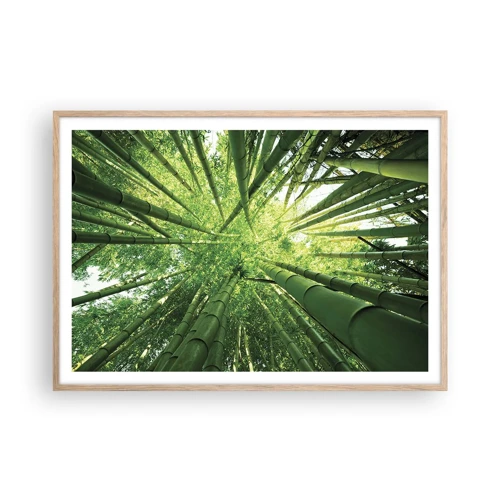 Een poster in een licht eiken lijst - In een bamboebos - 100x70 cm