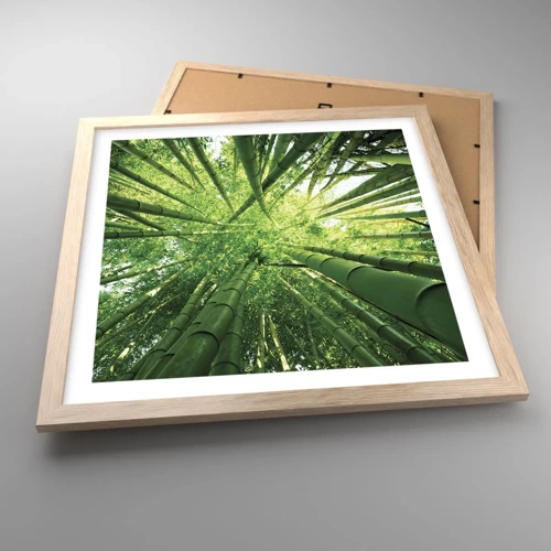 Een poster in een licht eiken lijst - In een bamboebos - 40x40 cm