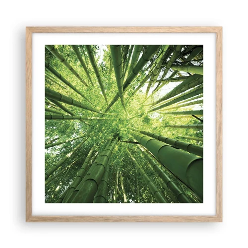 Een poster in een licht eiken lijst - In een bamboebos - 50x50 cm