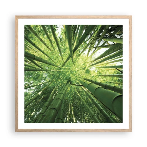 Een poster in een licht eiken lijst - In een bamboebos - 60x60 cm