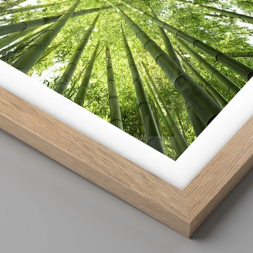 Een poster in een licht eiken lijst - In een bamboebos - 70x100 cm