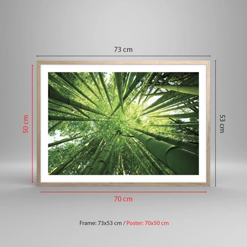 Een poster in een licht eiken lijst - In een bamboebos - 70x50 cm