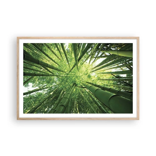 Een poster in een licht eiken lijst - In een bamboebos - 91x61 cm