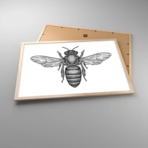 Een poster in een licht eiken lijst - Insectenportret - 70x50 cm