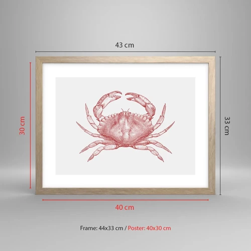 Een poster in een licht eiken lijst - Krab der krabben - 40x30 cm