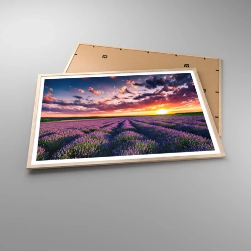 Een poster in een licht eiken lijst - Lavendel wereld - 100x70 cm