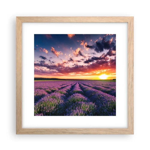 Een poster in een licht eiken lijst - Lavendel wereld - 30x30 cm