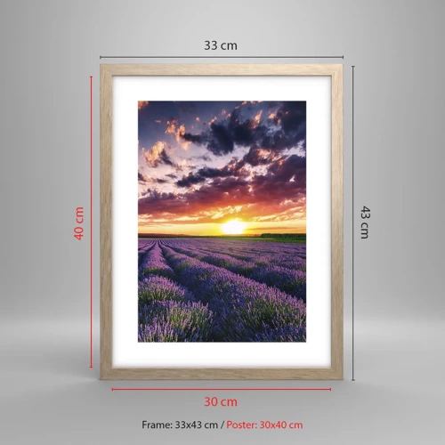 Een poster in een licht eiken lijst - Lavendel wereld - 30x40 cm