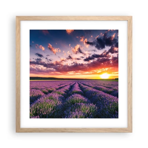 Een poster in een licht eiken lijst - Lavendel wereld - 40x40 cm