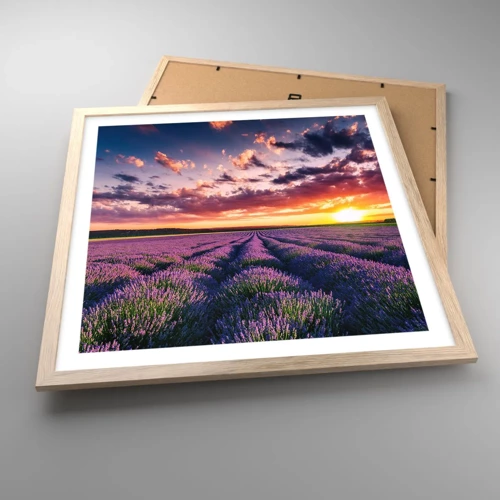 Een poster in een licht eiken lijst - Lavendel wereld - 50x50 cm