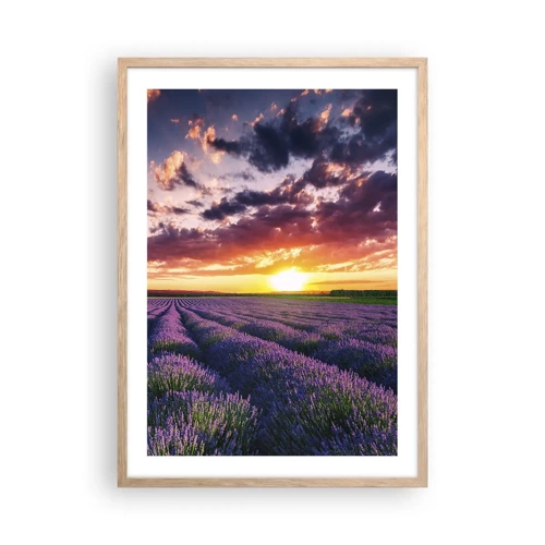 Een poster in een licht eiken lijst - Lavendel wereld - 50x70 cm