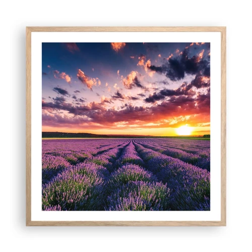 Een poster in een licht eiken lijst - Lavendel wereld - 60x60 cm