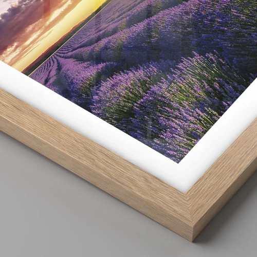 Een poster in een licht eiken lijst - Lavendel wereld - 60x60 cm