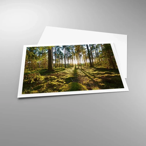 Poster - … Achter de zeven bossen - 100x70 cm