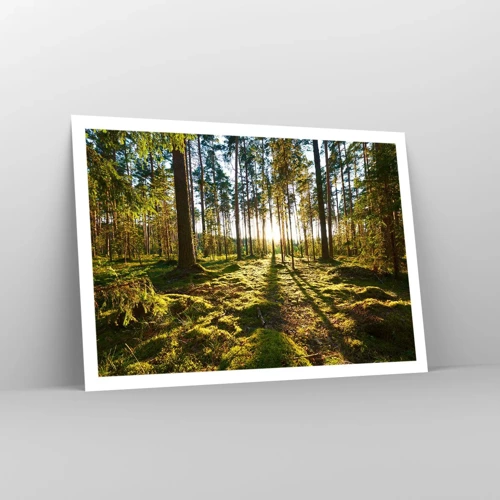 Poster - … Achter de zeven bossen - 100x70 cm