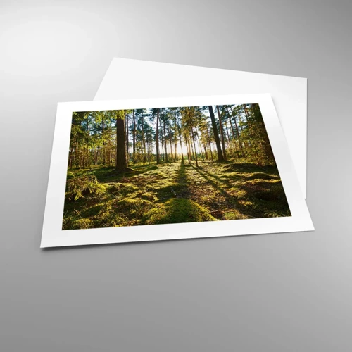 Poster - … Achter de zeven bossen - 50x40 cm