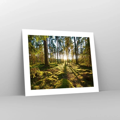 Poster - … Achter de zeven bossen - 50x40 cm