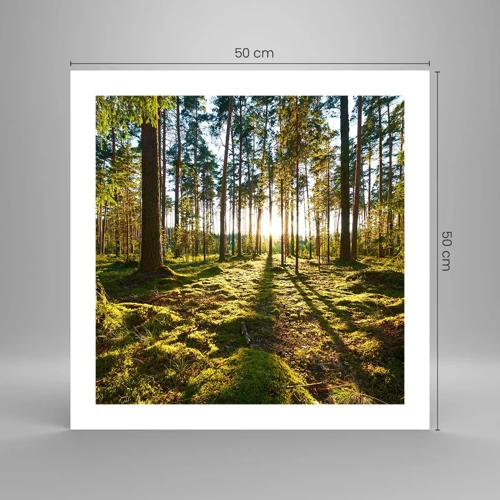 Poster - … Achter de zeven bossen - 50x50 cm