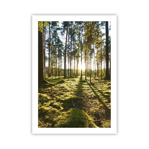 Poster - … Achter de zeven bossen - 50x70 cm