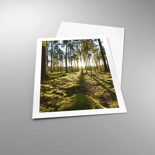 Poster - … Achter de zeven bossen - 50x70 cm