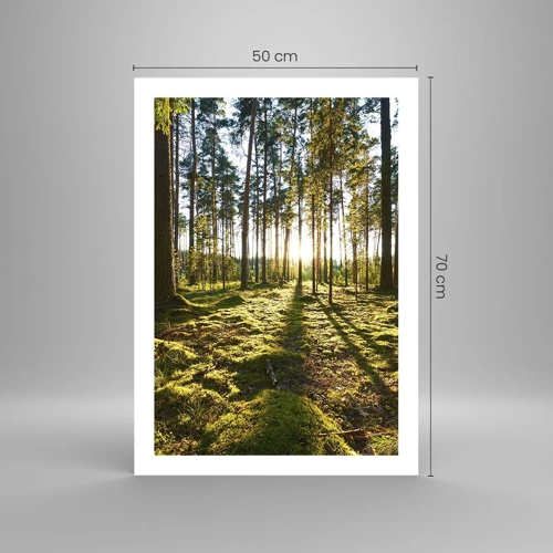 Poster - … Achter de zeven bossen - 50x70 cm