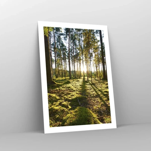 Poster - … Achter de zeven bossen - 50x70 cm