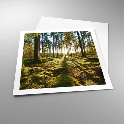 Poster - … Achter de zeven bossen - 60x60 cm