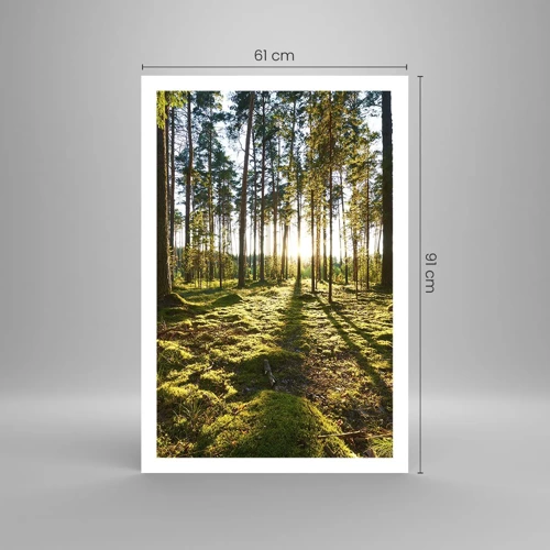 Poster - … Achter de zeven bossen - 61x91 cm