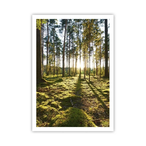 Poster - … Achter de zeven bossen - 70x100 cm