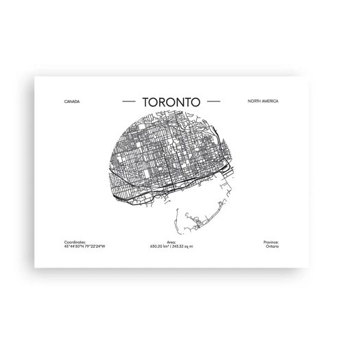 Poster - Anatomie van Toronto - 100x70 cm