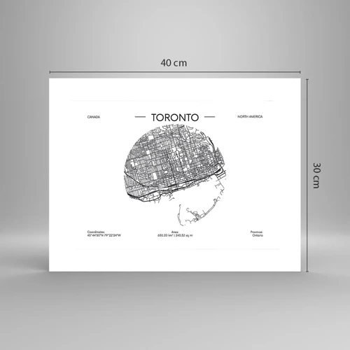 Poster - Anatomie van Toronto - 40x30 cm