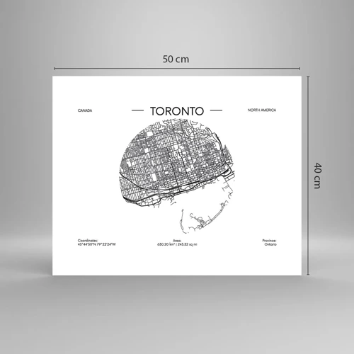 Poster - Anatomie van Toronto - 50x40 cm