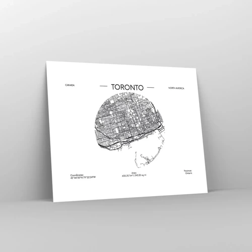 Poster - Anatomie van Toronto - 50x40 cm