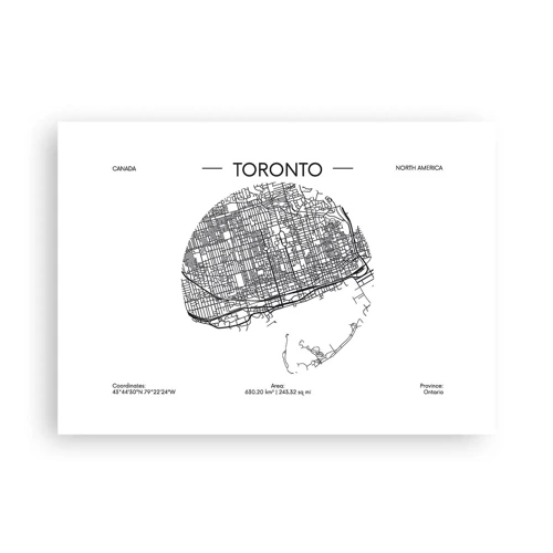 Poster - Anatomie van Toronto - 70x50 cm