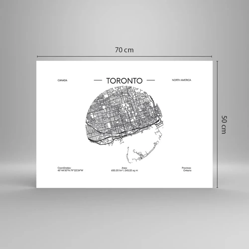 Poster - Anatomie van Toronto - 70x50 cm