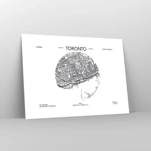 Poster - Anatomie van Toronto - 70x50 cm