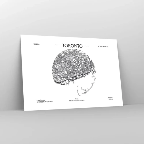 Poster - Anatomie van Toronto - 91x61 cm