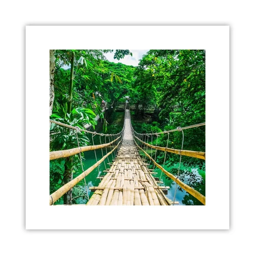 Poster - Apenbrug over de green - 30x30 cm