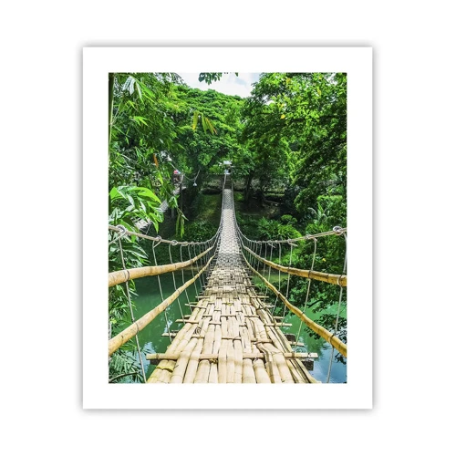 Poster - Apenbrug over de green - 40x50 cm