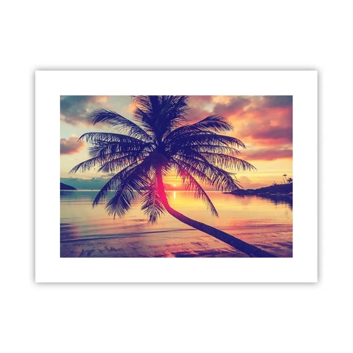 Poster - Avond onder de palmbomen - 40x30 cm