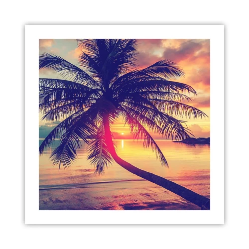 Poster - Avond onder de palmbomen - 50x50 cm